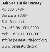 Bali Sea Turrtle Society